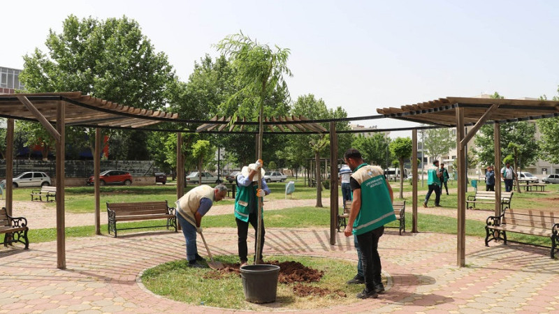 Haliliye'de Parklar Yaz Ayına Hazırlanıyor