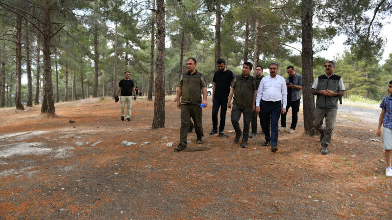 Vali Şıldak, Atatürk Ormanını Ziyaret Etti