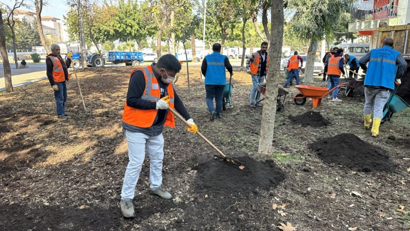 Eyyübiye'deki Parklarda Bakım Çalışması Başlatıldı