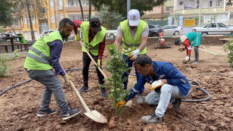 Haliliye'deki Park ve Yeşil Alanlarda Bakım Çalışmaları
