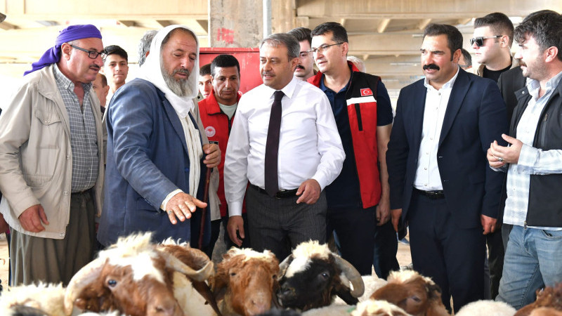 Şanlıurfa’da Kurban Satış Ve Kesim Yerleri Belirlendi