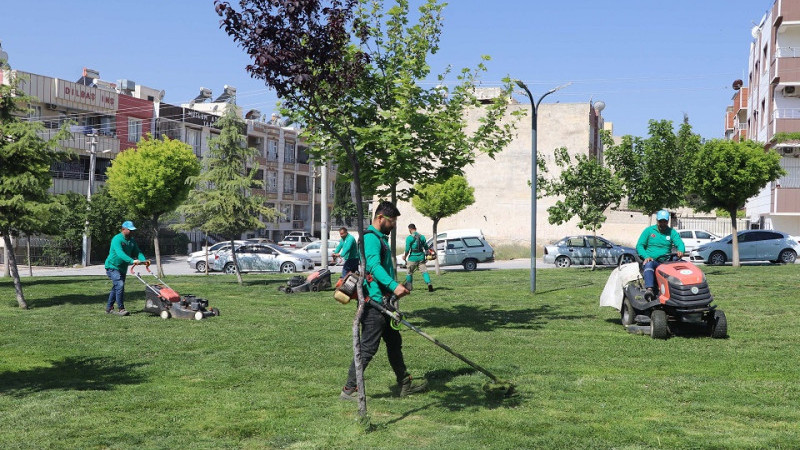 Haliliye'deki Parklar Yaza Hazırlanıyor