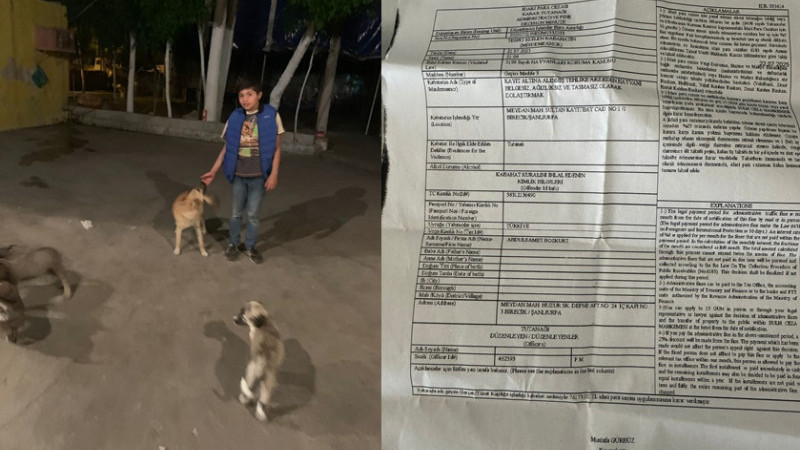 Sokak Köpeğine Yiyecek Veren Çocuğa 76 Bin TL Ceza Şoku