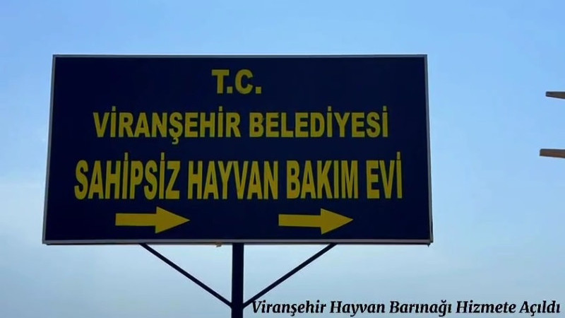 Viranşehir'de Modern Hayvan Barınağı Hizmete Girdi!