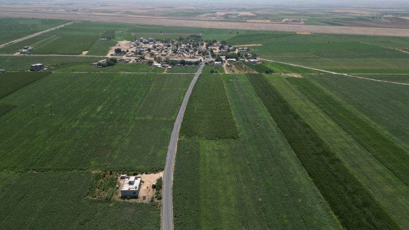 Büyükşehir Suruç'ta 7 Kilometrelik Yol Sathi Asfalt Kaplama ile Yenilendi