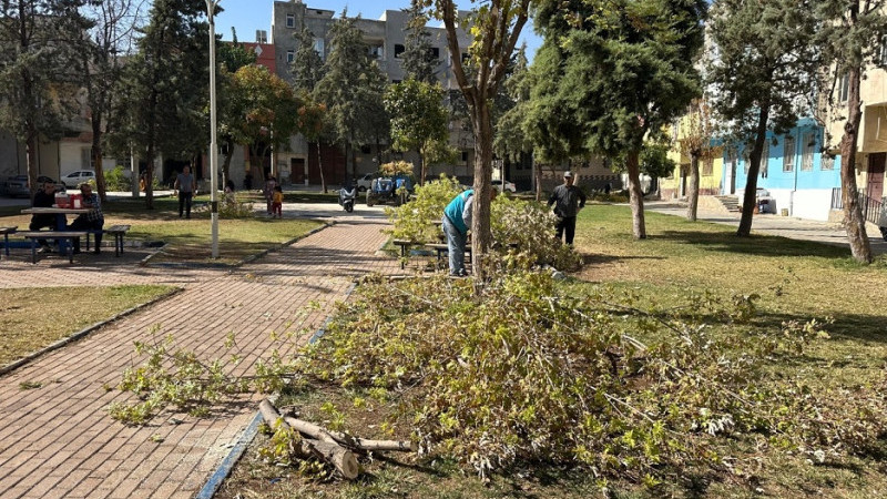 Eyyübiye’deki Parklarda Bakım ve Yenileme Çalışmaları Devam Ediyor