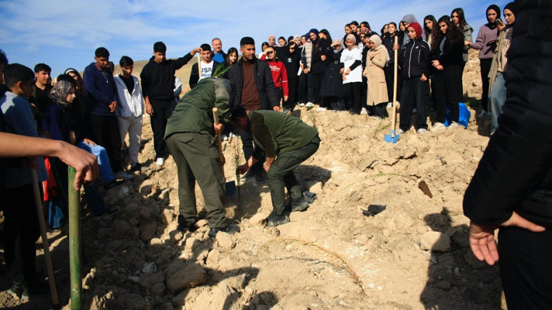 Şanlıurfa’lı  Liseliler 500’ün Üzerinde Fidanı Toprakla Buluşturdu
