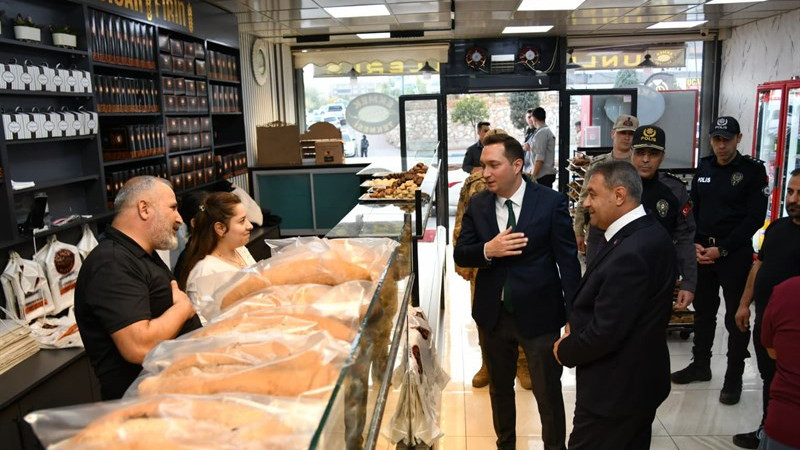 Vali Hasan Şıldak Halfeti’de İncelemelerde Bulundu