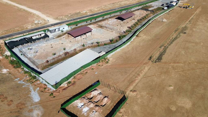 Şanlıurfa'da Sahipsiz Hayvanların Toplanmasında Hedefe Ulaşıldı