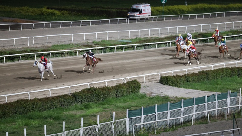 Kurtuluş Koşusunu Anadolu Gücü İsimli Safkan Kazandı