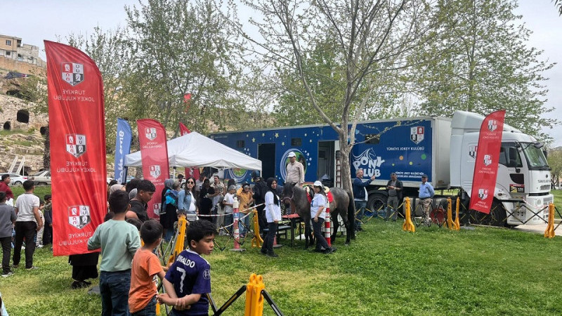 Şanlıurfa’da Kültür Yolu Festivalinde At Sevgisi İlgi Gördü