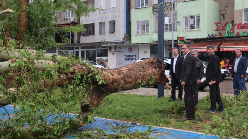 İl Başkanı Başkanı Polat, Afet Bölgelerinde İncelemelerde Bulundu!