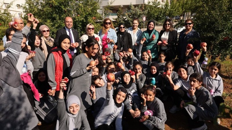 Karaköprü'de 2. Nar Festivali Öncesinde Nar Hasadı Gerçekleştirildi