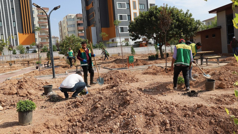 Karaköprü'de  Ağaçlandırma Çalışmaları Başlatıldı