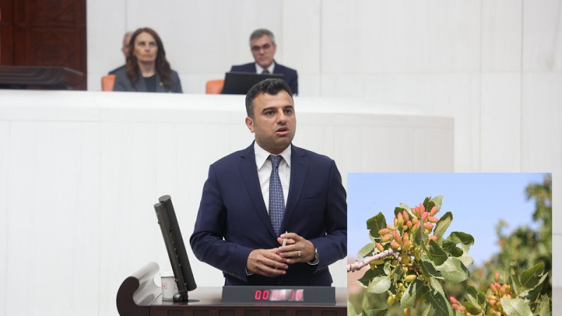 Milletvekili Ömer Öcalan, Şanlıurfa’da Fıstık Üretiminde Yaşanan Sorunları TBMM'ye Taşıdı