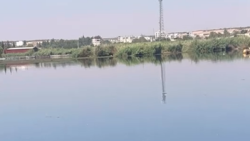 Fırat Nehri’nde Büyük Tehlike: Duba Restoranların Atıkları Balık Ölümlerine Yol Açıyor