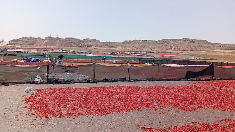 Birinci Kalite Urfa İsodunu Yarı Fiyatına Satıyorlar