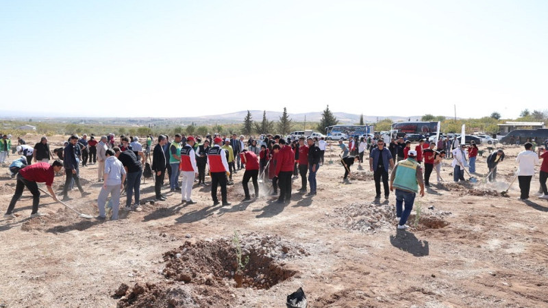 Karaköprü'de 5 bin Adet Fıstık ve Zeytin Fidanı Toprakla Buluşturuldu