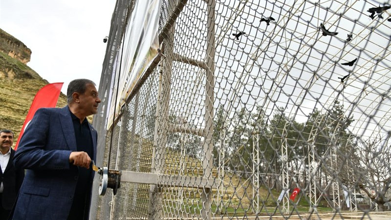 Birecik’teki Kelaynaklar Doğaya Salındı