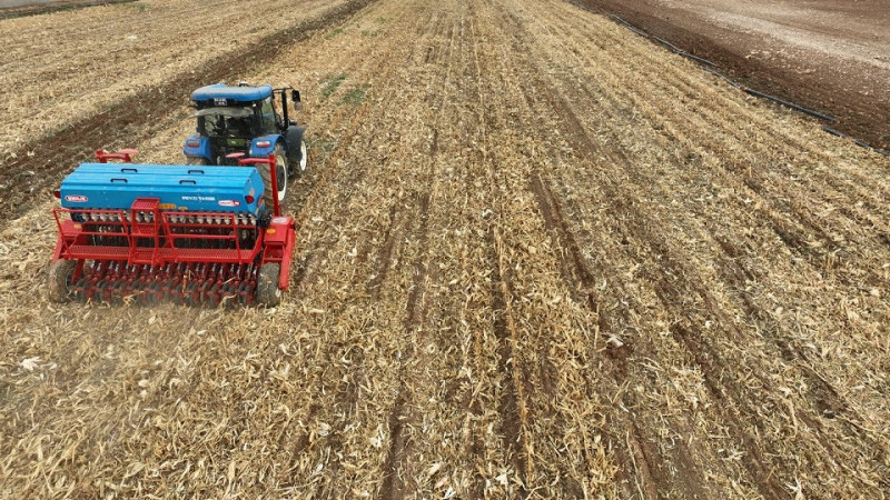 Tarım Ürünleri Üretici Fiyat Endeksi Ocak 2026'da Arttı