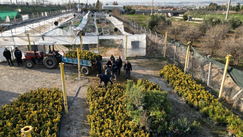 Şanlıurfa Büyükşehir Belediyesi Ağaç ve Bitki Dikimini Sürdürüyor