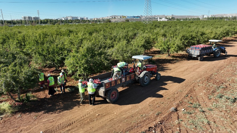 Tarımsal Girdi Fiyat Endeksi Ocak 2026'da Arttı