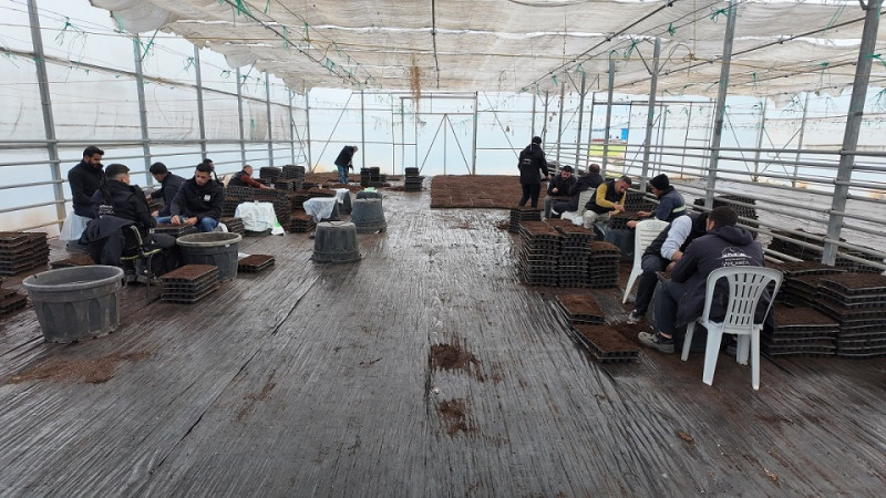 Şanlıurfa Büyükşehir Belediyesi 1 milyon Fide Üretimine Başladı