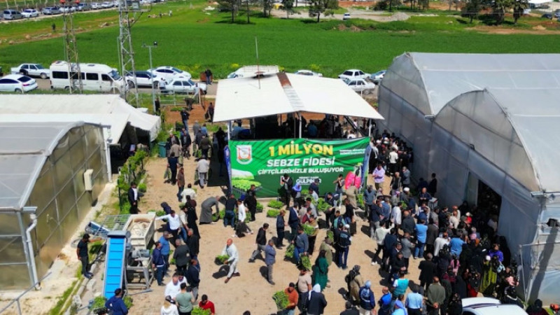 Şanlıurfa Büyükşehir Belediyesi 1 Milyon Adet Ücretsiz Sebze Fidesi Dağıttı