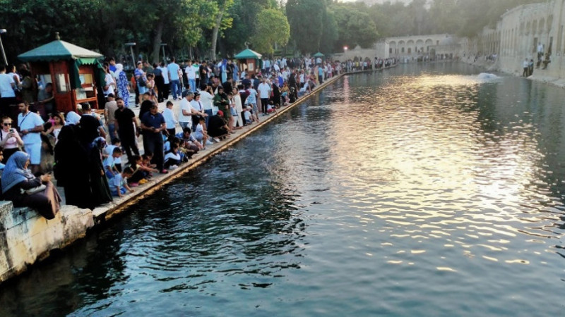 2025  Yılında Türkiye Yüfusunun Yüzde 24,8'ini Çocuk Nüfus Oluşturdu