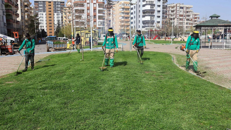 Haliliye'deki Park ve Yeşil Alanlarda Bakım Çalışması Başlatıldı