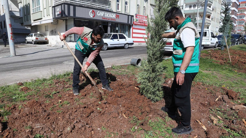 Haliliye'deki Parklarda Yaz Öncesi Bakım Çalışması Başlatıldı