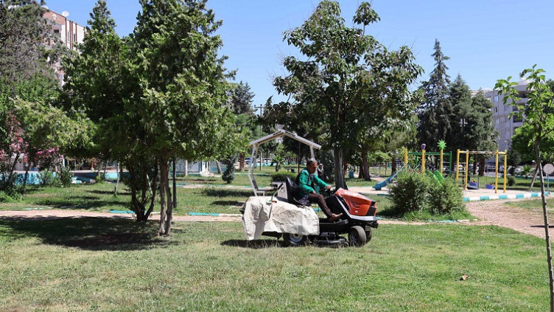 Haliliye'de park yenileme, Peyzaj ve Ağaçlandırma Çalışmaları Sürüyor
