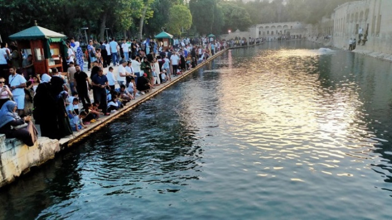Türkiye’de Doğuşta Beklenen Yaşam Süresi 78,5 Yıl Oldu