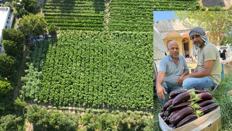 Kar ve Yağmur Birecik Balcanına Bereket Getirdi
