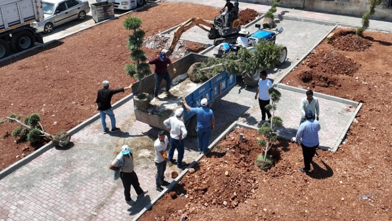 Eyyübiye’de Yeşillendirme Çalışmaları Devam Ediyor