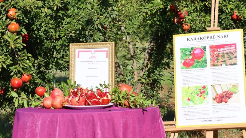 Karaköprü’de 2. Nar Festivali, 6,7 ve 8 Kasım’da Gerçekleştirilecek